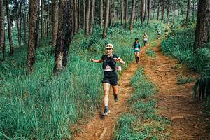 BIB: 
                            <button type="button" onclick="openModal(25667764)" class="btn btn-primary btn-sm float-right btn-popup" data-toggle="modal" data-target=".modal-high-quality">
                        <i class="fas fa-shopping-cart"></i> Add to Cart
                    </button>
                                            <button type="button" onclick="isThisMe(25667764, true)" class="btn btn-success btn-sm float-right btn-popup btn-isme hidden" data-toggle="tooltip" data-placement="bottom" title="นี่คือรูปของคุณใช่ไหม คลิกที่นี่เพื่อเอาเข้าอัลบั้ม">
                        <i class="fas fa-plus"></i> Add to album
                    </button>
                    <button type="button" onclick="isThisMe(25667764, false)" class="btn btn-warning btn-sm float-right btn-popup btn-isnotme hidden">
                        <i class="fas fa-ban"></i> Remove from album
                    </button>